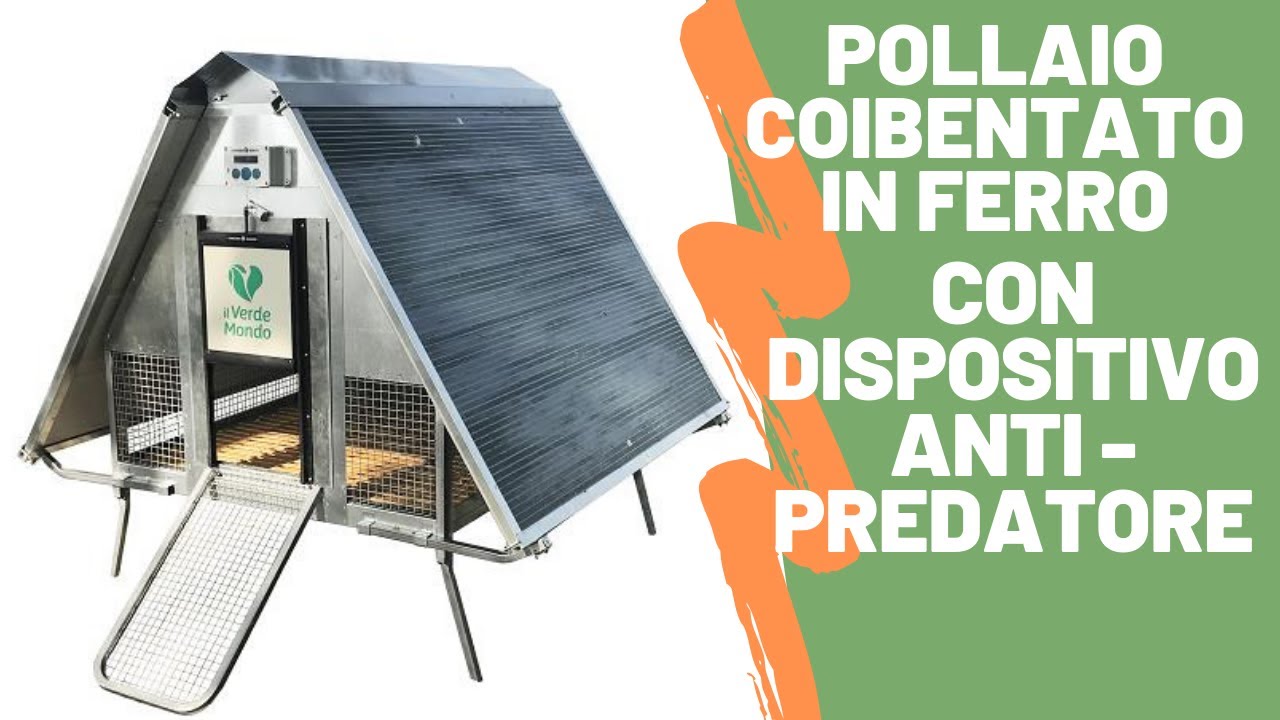 Pollaio Coibentato in Ferro per 10 galline ovaiole con dispositivo antipredatore