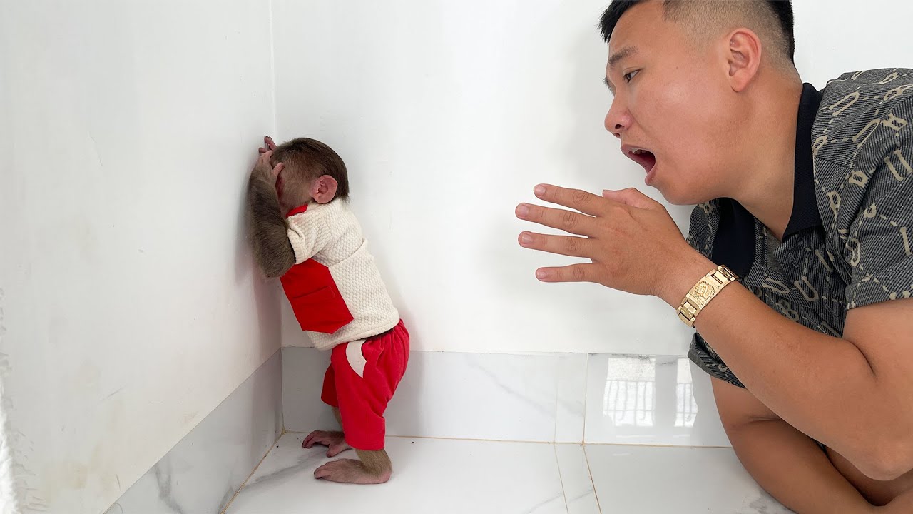 Dad abandoned Cubis monkey! Cubis is angry with dad and doesn't want to make up!