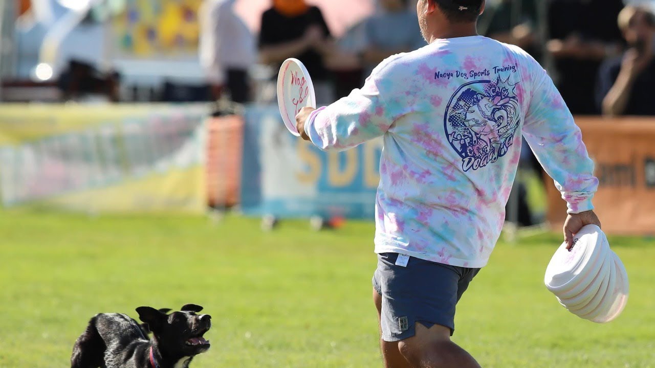 [Hokkaido Cup 2025 TOP10 USDDN Qualify]