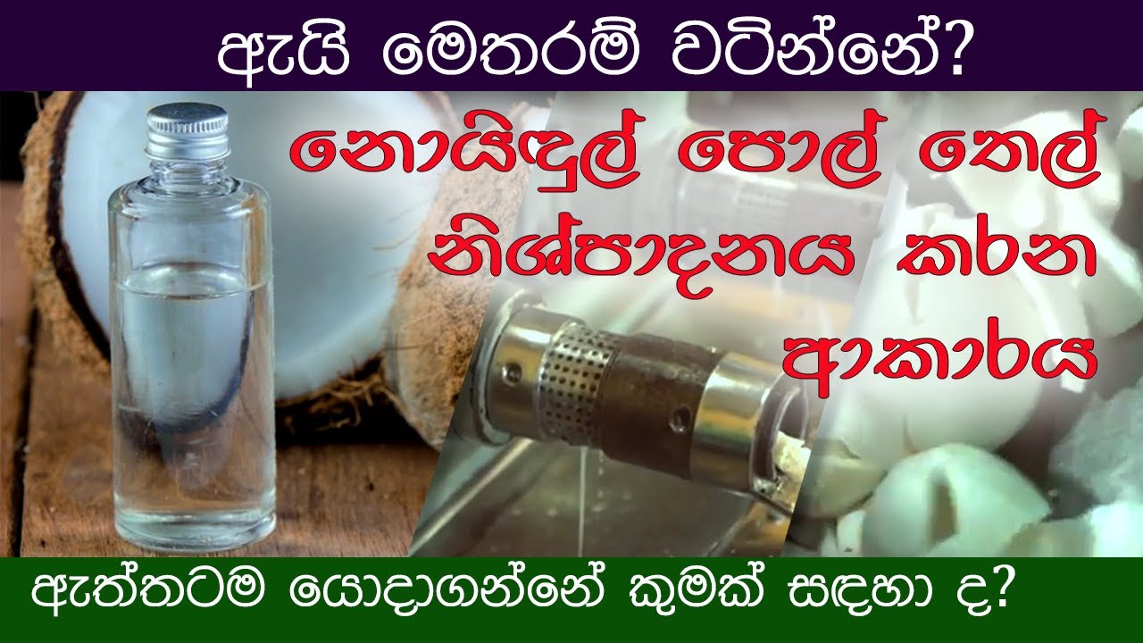 Virgin Coconut Oil Production Process in Sri Lanka I industrial