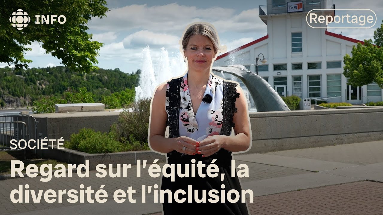 &Eacute;quit&eacute;, diversit&eacute; et inclusion : entre accueil et r&eacute;sistance