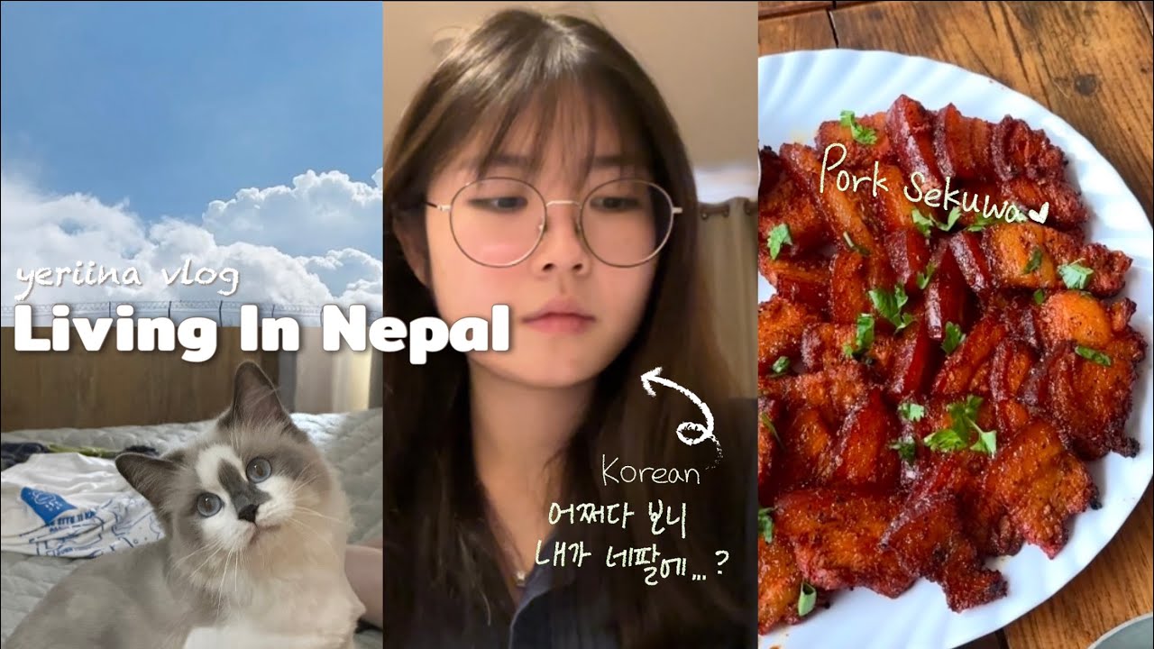 Daily VLOG in Nepal ✩˚｡⋆ Korean student | Cooking momo | Newari Food l Kimbap | College life