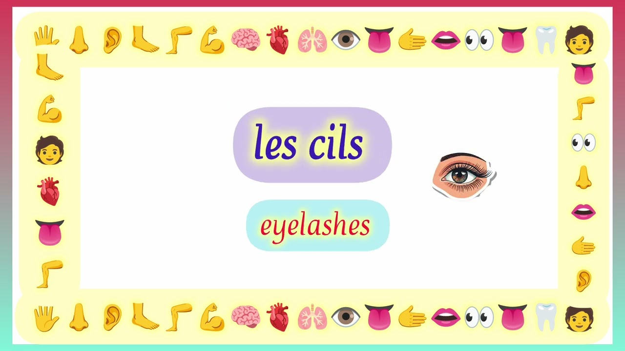parts of human body in french #français 