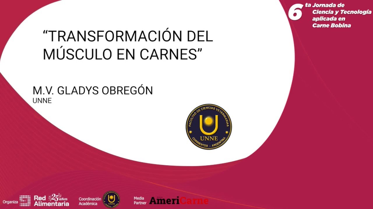 “Transformación del músculo en carnes” UNNE
