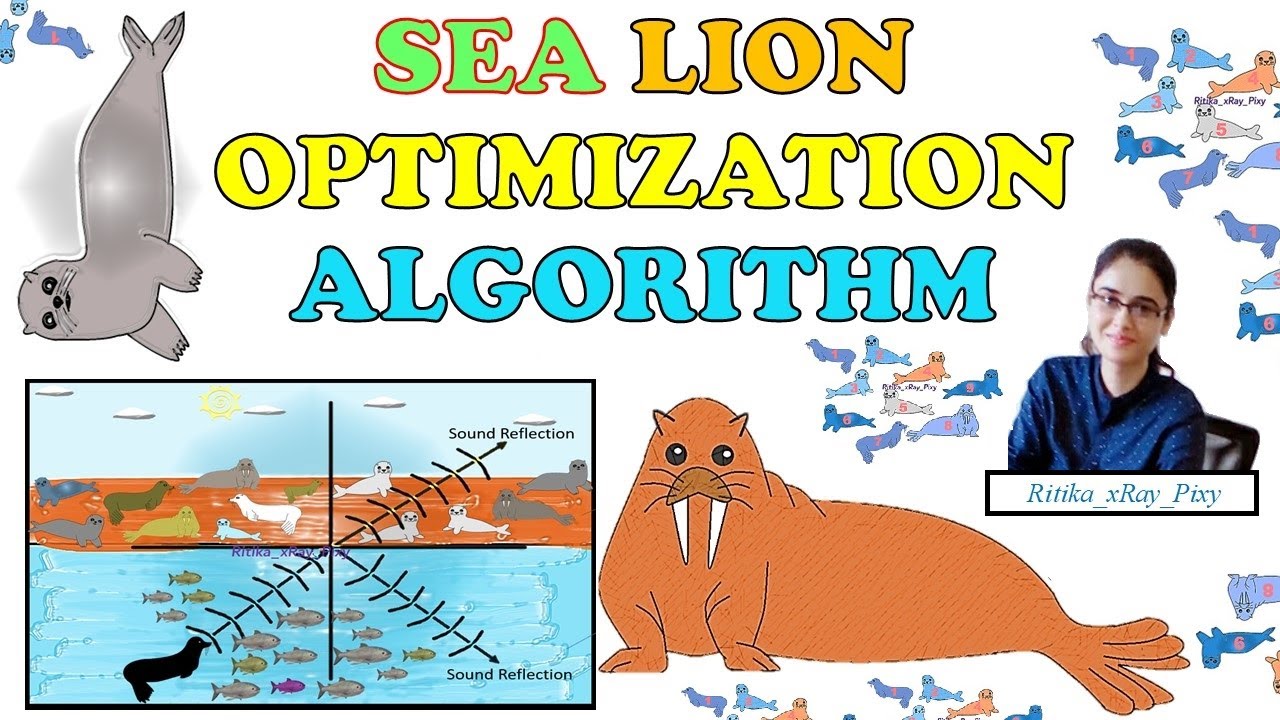 Sea Lion Optimization Algorithm || Step-By-Step || ~xRay Pixy