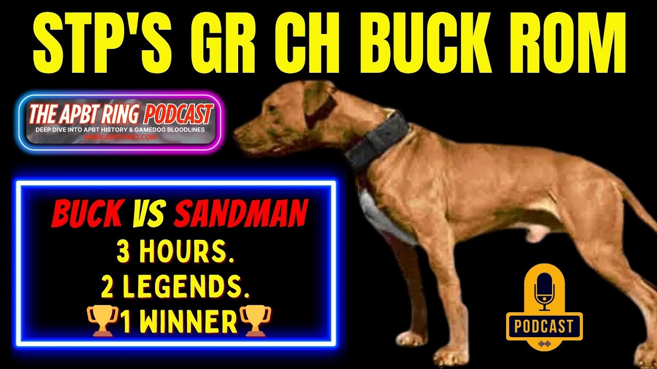 The Story of STP’s GR CH BUCK ROM | PitBull Game Dog Legacy & APBT History Podcast