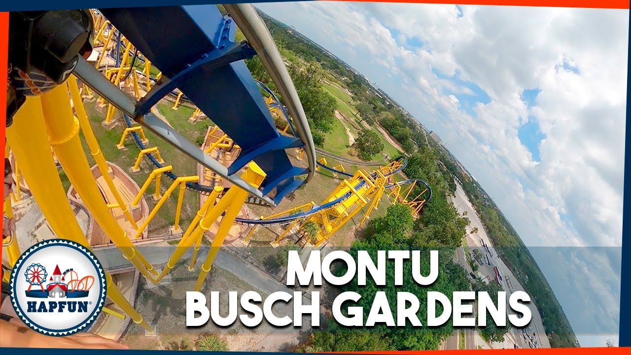 MONTU: a montanha-russa invertida do BUSCH GARDENS TAMPA, na Flórida! (Onride) | Hapfun
