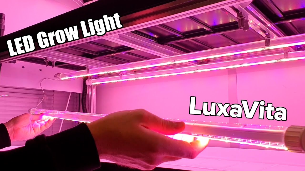 Светодиодная фитолампа LuxaVita&reg; для выращивания растений. Фитосветильник с жидкостным охлаждением