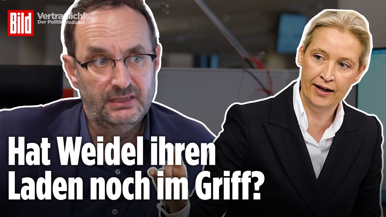AfD stolpert ins Superwahljahr: Skandale, Radikalisierung und Machtkampf | Vertraulich vom 5.2.