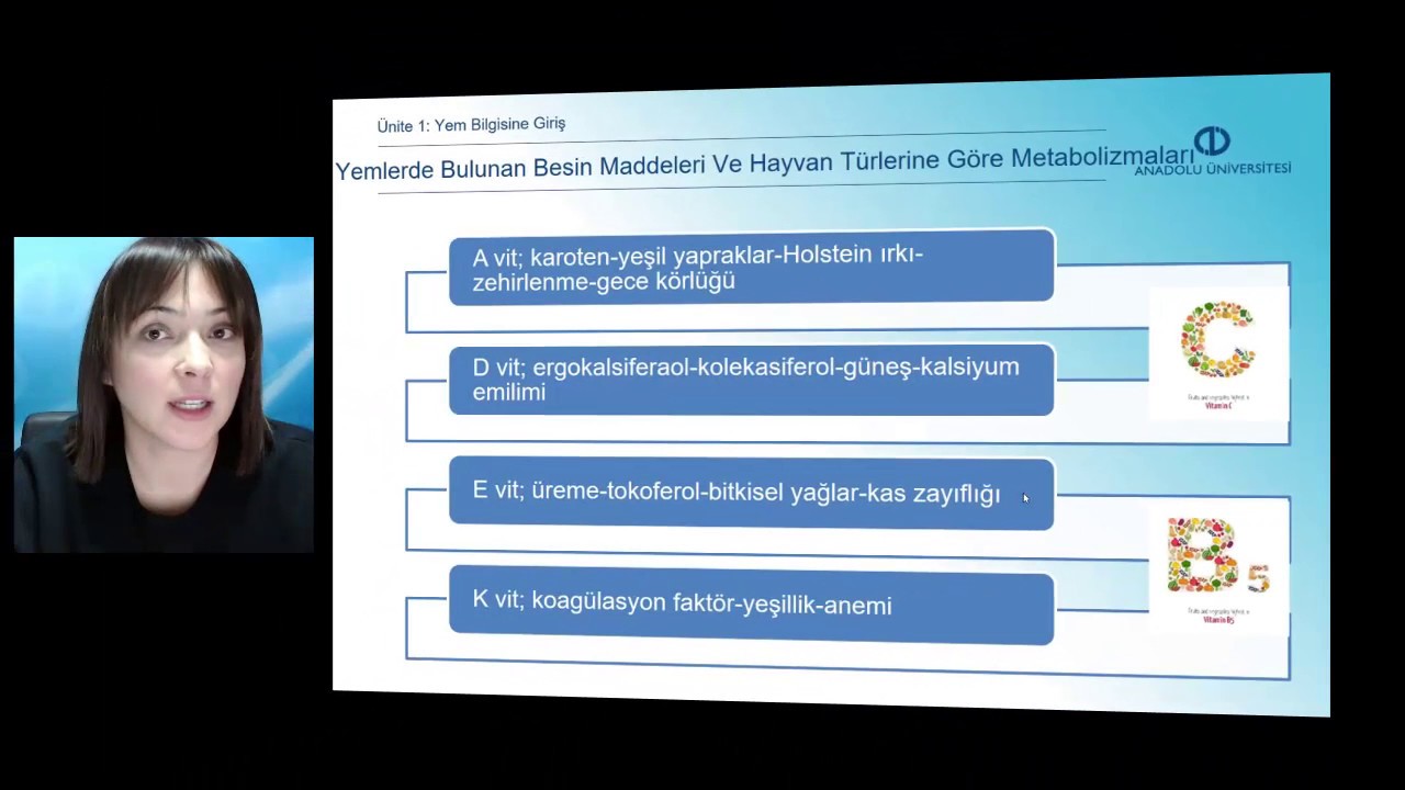 TEMEL YEM BİLGİSİ VE HAYVAN BESLEME - Ünite 1 Özet