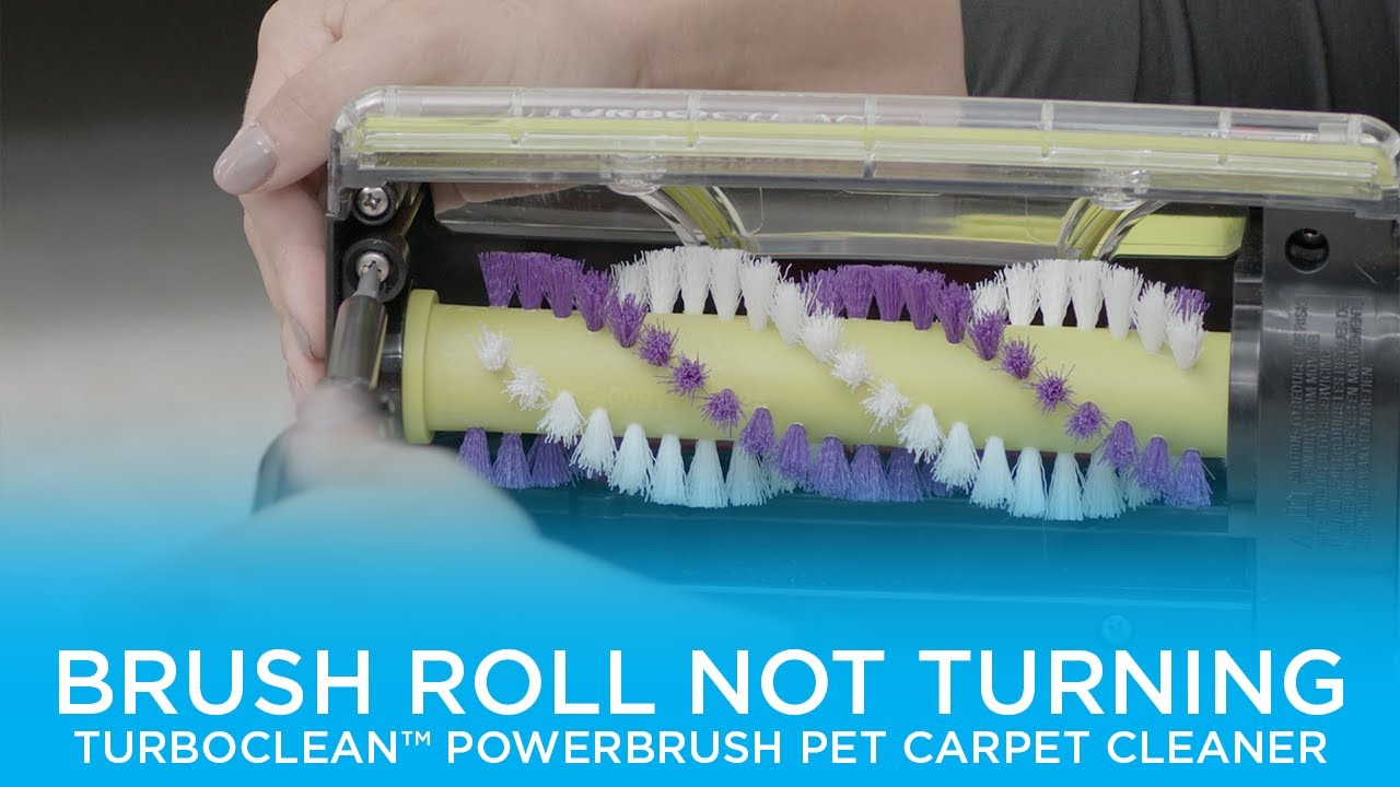 Brush Roll Not Turning | TurboClean™ PowerBrush Pet Carpet Cleaner