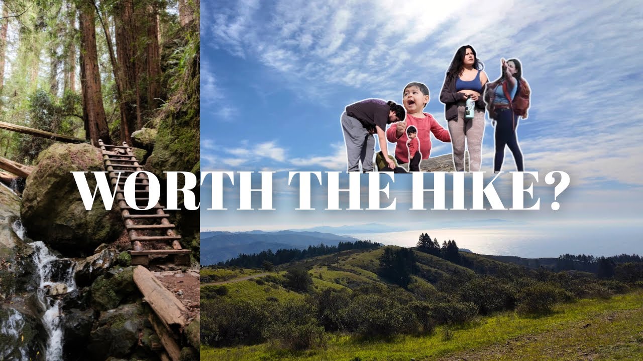 I Hiked Mt. Tamalpais and The Views 😳