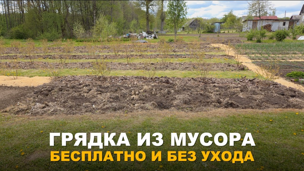 ГРЯДКА ИЗ РАСТИТЕЛЬНОГО МУСОРА. Необычная грядка идеально подойдет для арбузов, дыни или кабачков.