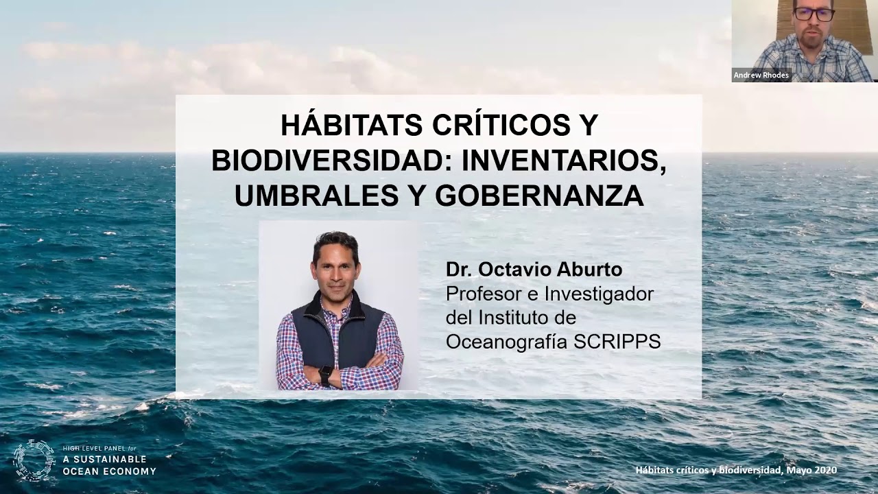 Webinar: Building the Sustainable Ocean Economy of the Future