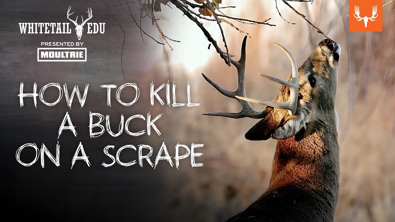 Как убить оленя на скакалке | Whitetail EDU
