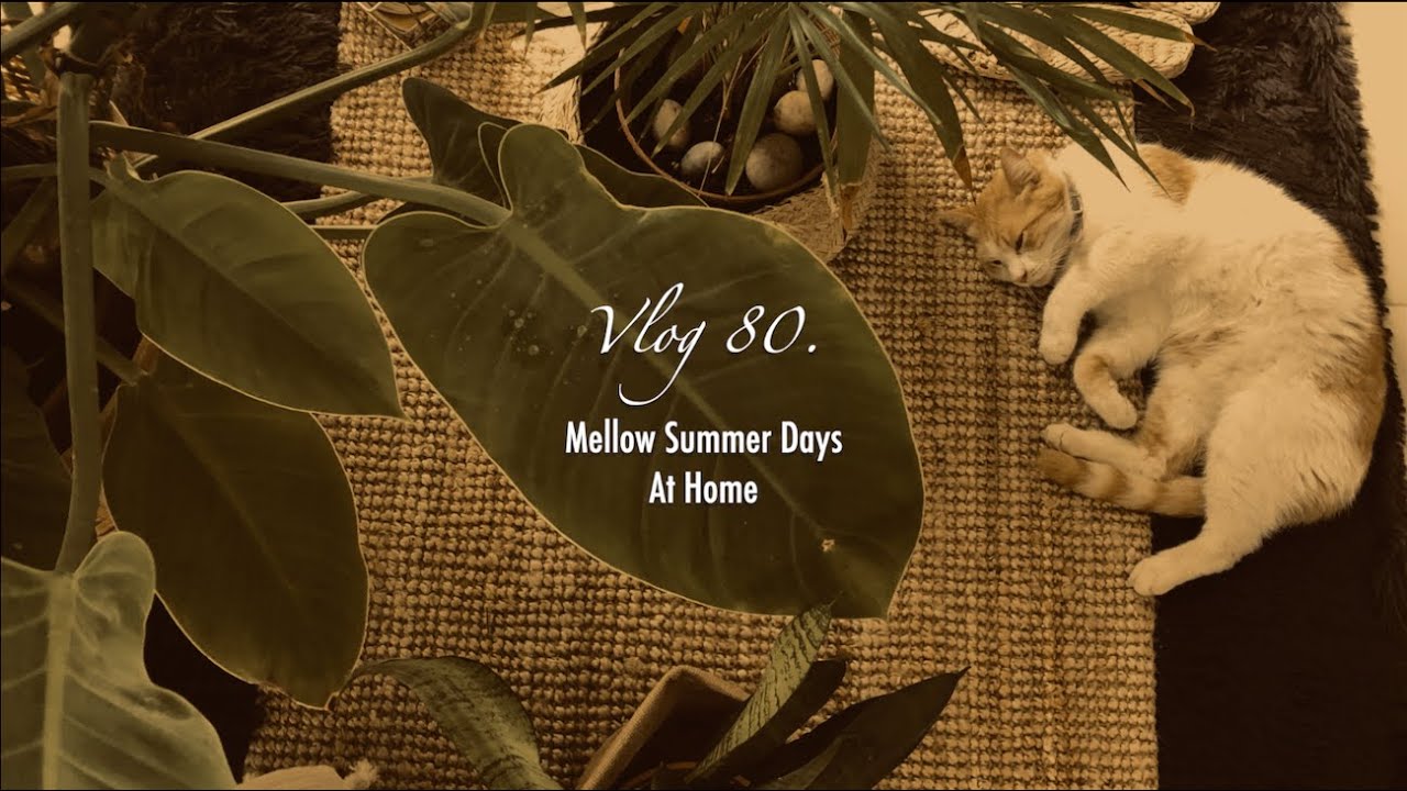 [No Music] Slow Living ~ Mellow Summer Days at Home. ASMR Life Vlog.