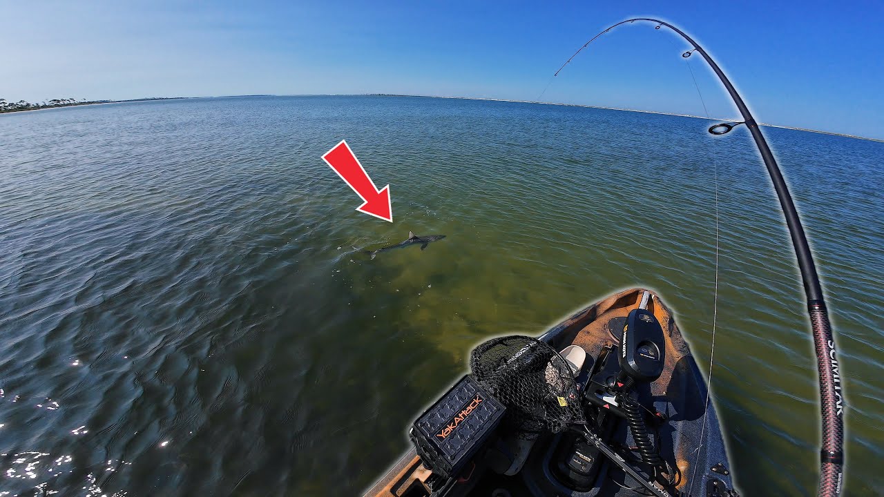 This Is NOT The Fish I Was Trying To Catch! - [St  Andrews Sound Flats Fishing]