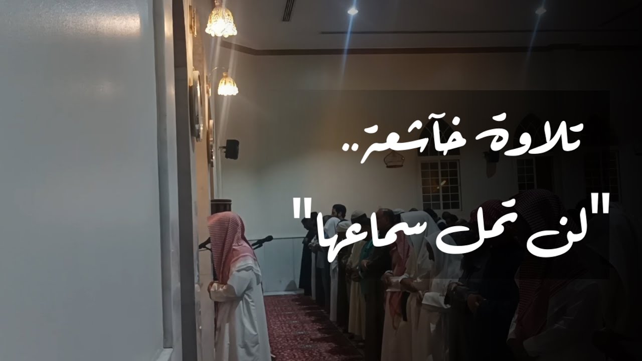 من أجمل التلاوات #عشائية لأجمل تحبير #محاكاه #اللحيدان لسورة #الزمر عبدالرحمن ناجي #400 #_shor
