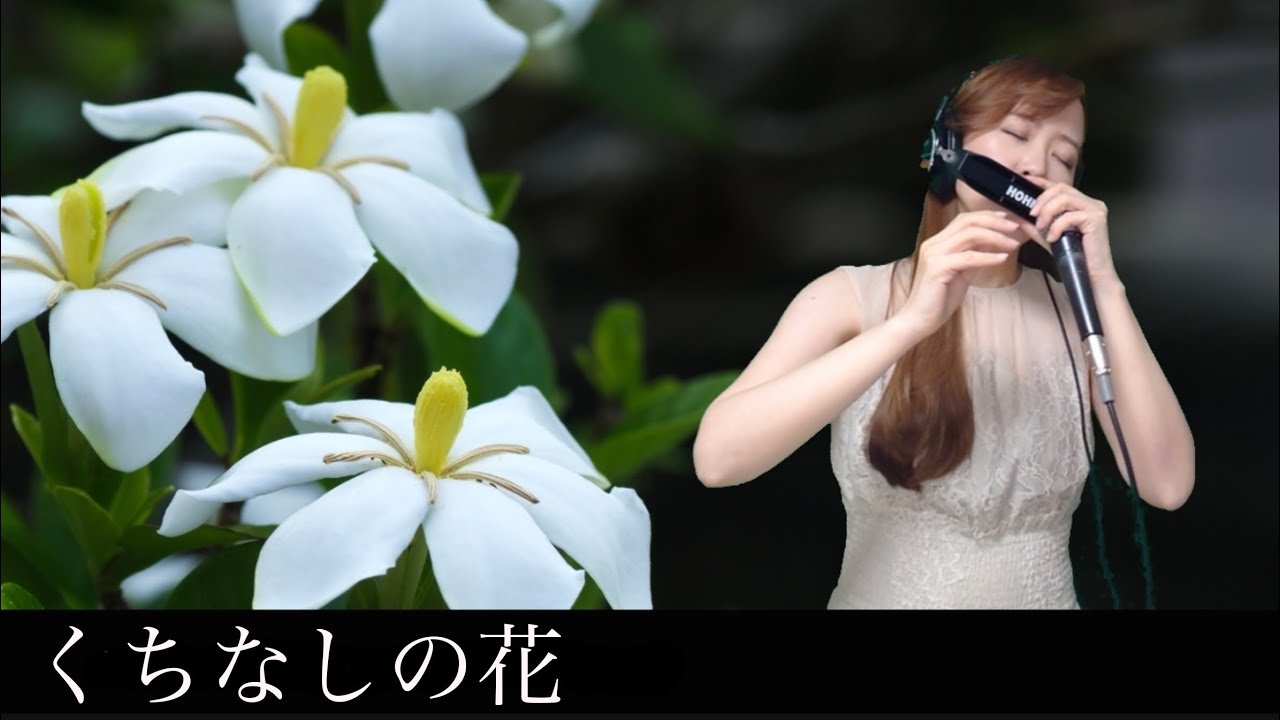 クロマチックハーモニカ 南里沙『くちなしの花』｜Chromatic Harmonica Risa Minami