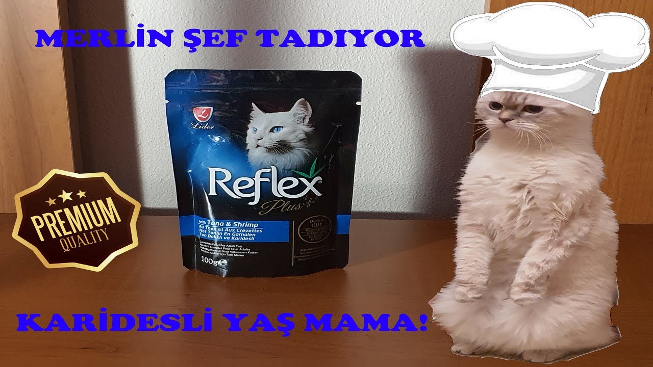 Merlin Şeften Karidesli Yaş Mama!!