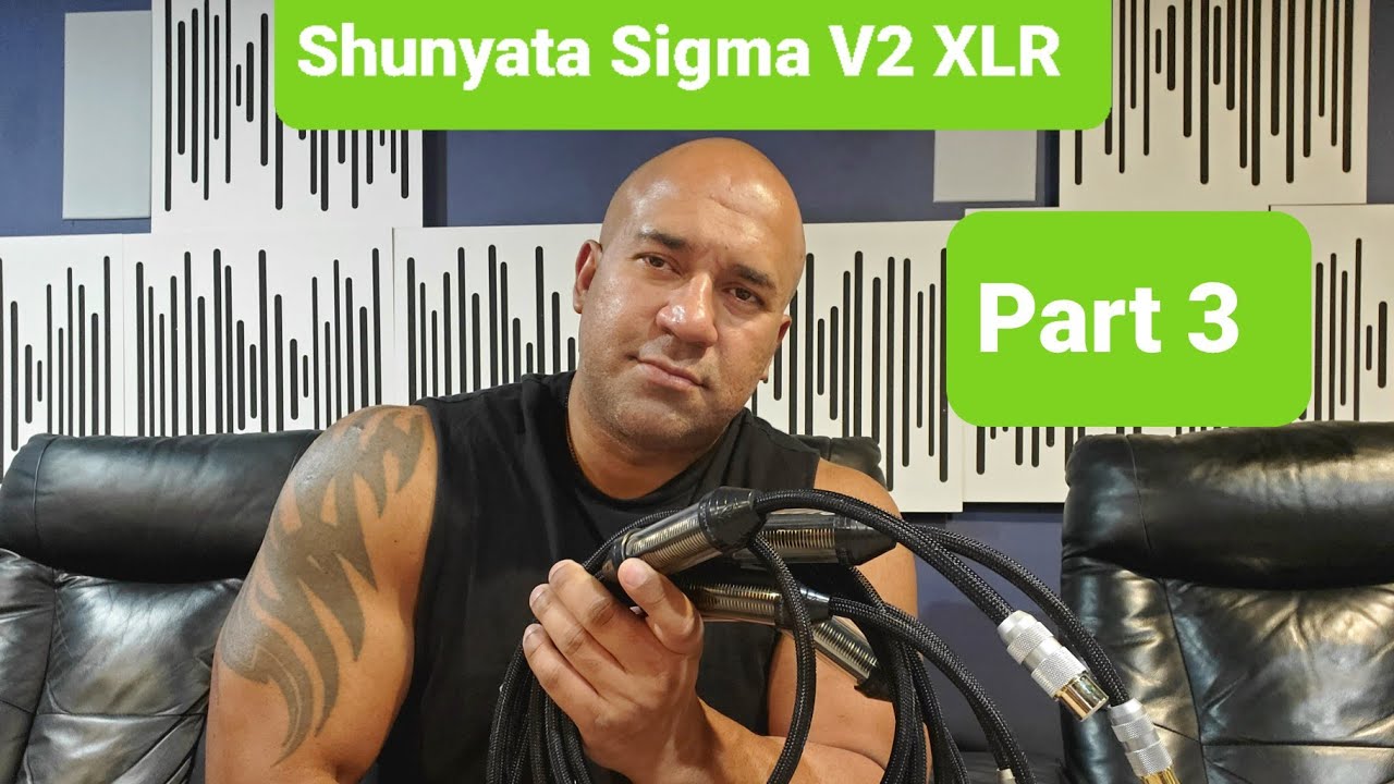 Part 3: Adding Shunyata Sigma V2 XLRs