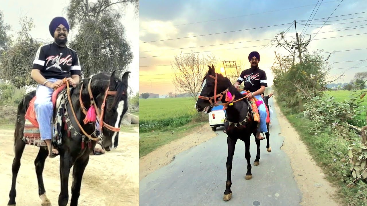Finally Horse Riding Karli First Time 🐎