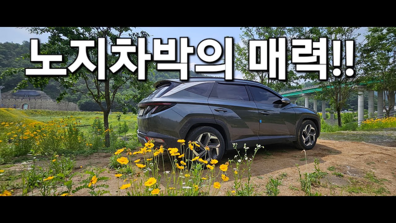 60.노지차박의매력/영월차박/영월여행/50대여성솔로차박