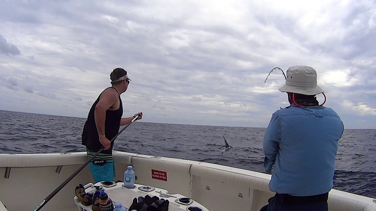 Fly Fishing Blue Marlin Exmouth WA, with Peak Sportfishing