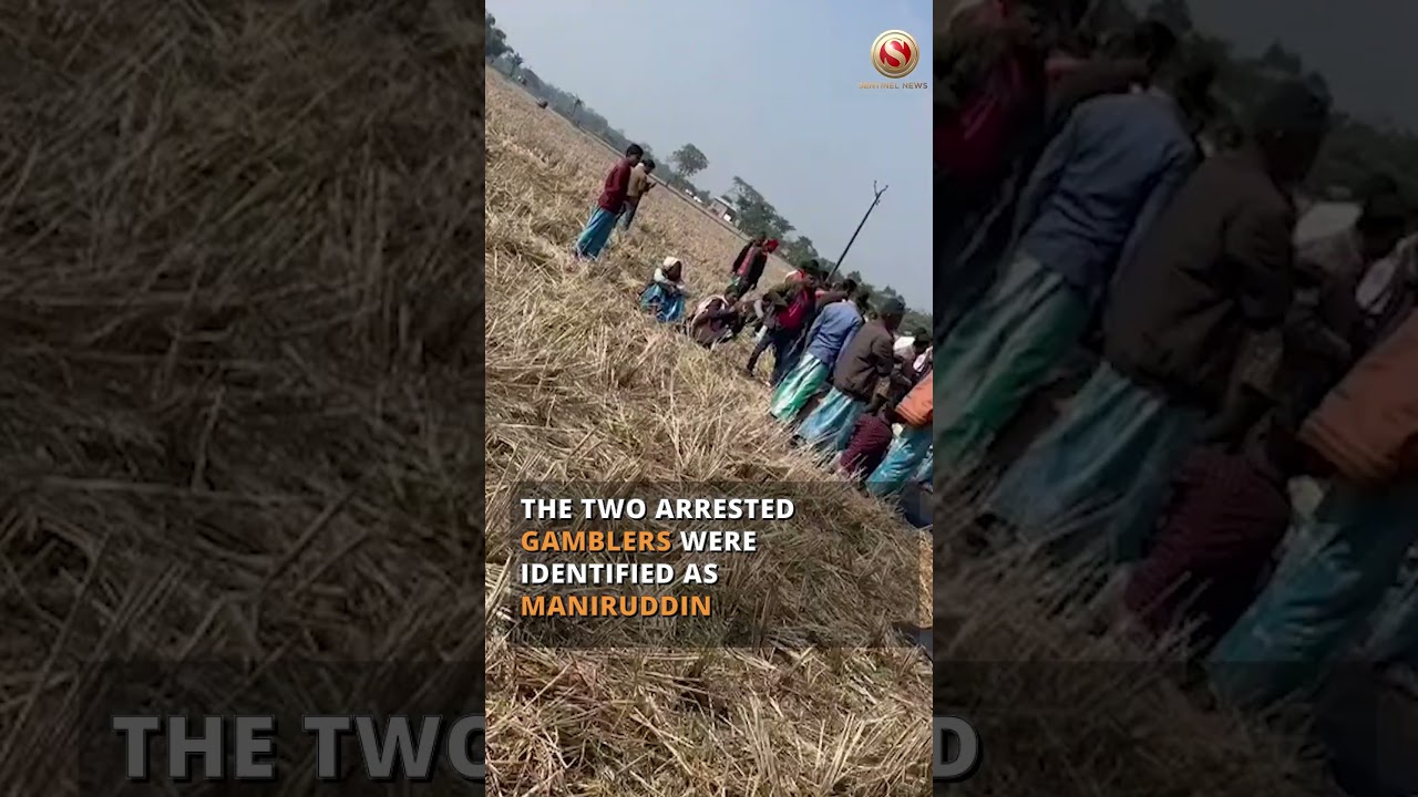 Dhing Police Arrests Two Notorious Gamblers