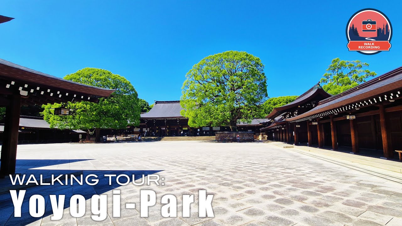 Summer Walk Through Yoyogi Park (代々木公園) to Harajuku (原宿) | Cicadas and Soothing Tokyo Sounds