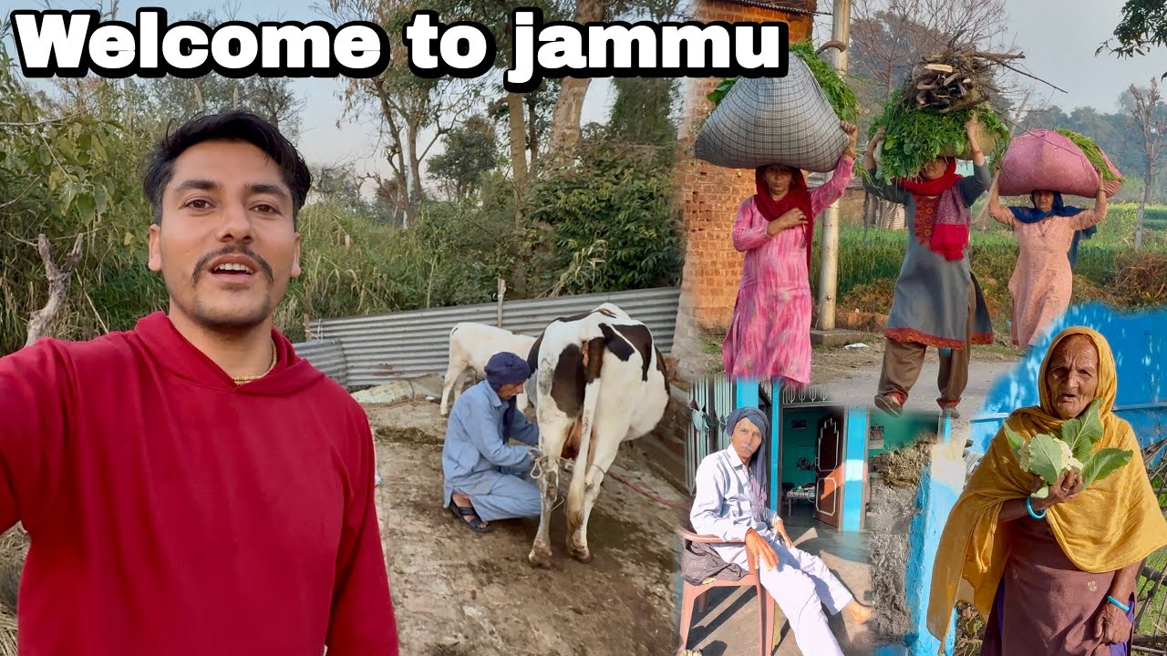 पहुंच गया जी अपने घर जम्मू वापस 🥰 | jammu & kashmir 