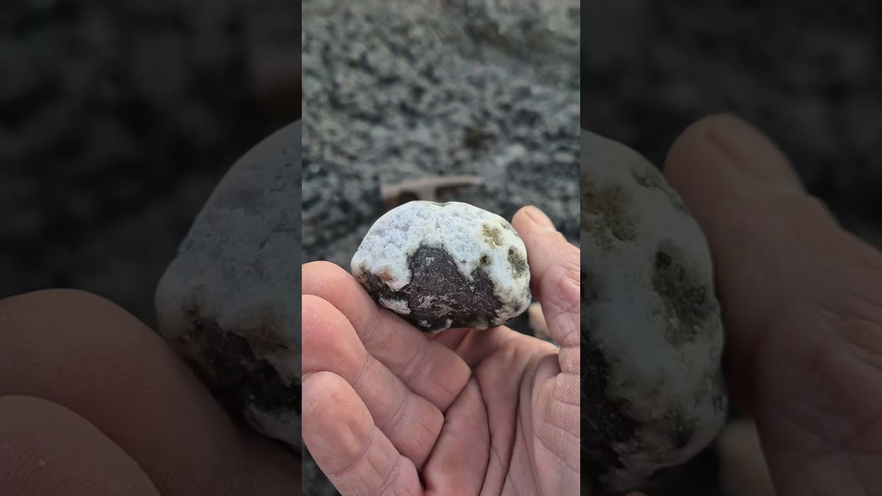 Agate hunting from scurdie ness lighthouse to ferryden - 13th March 2026