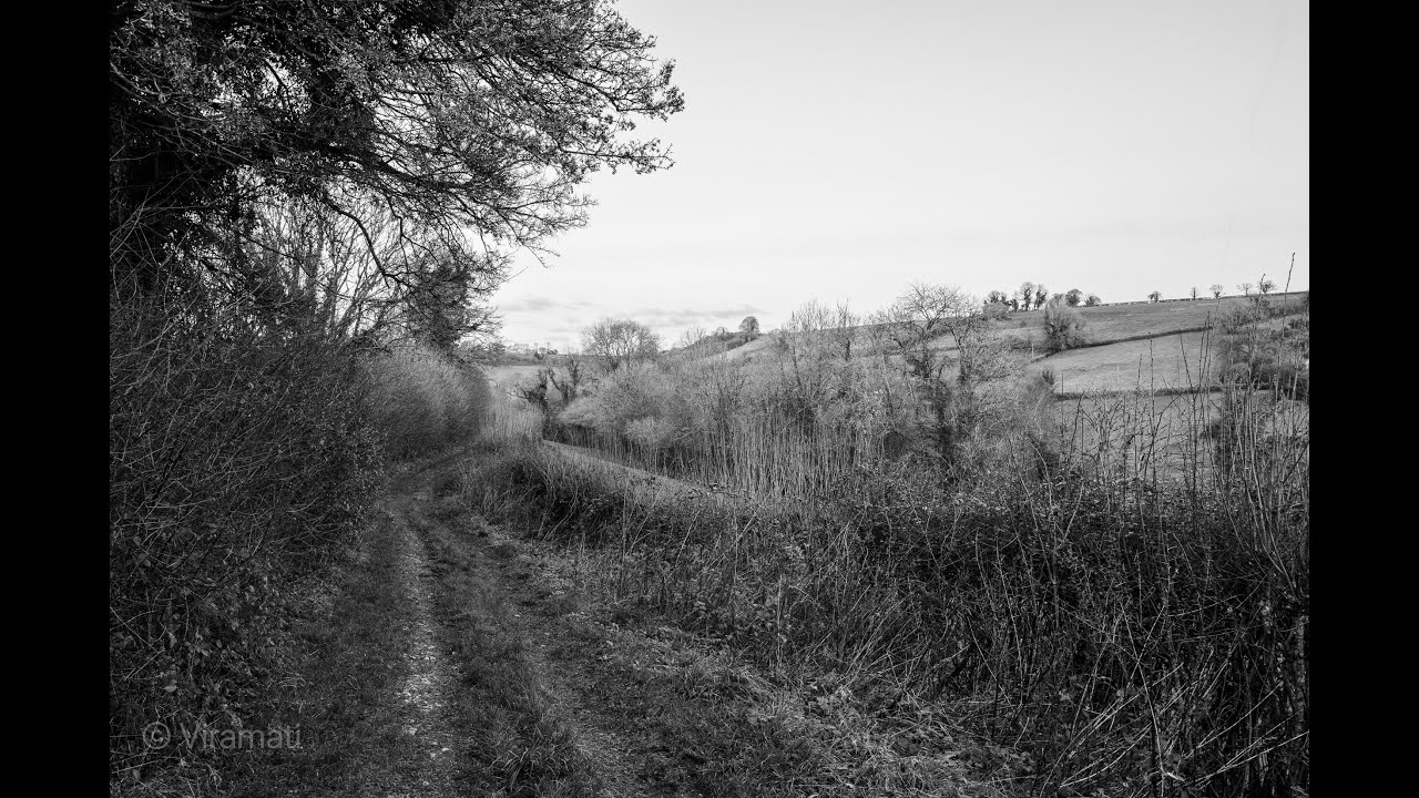 Westcombe walk. Leica Q3 Monochrom