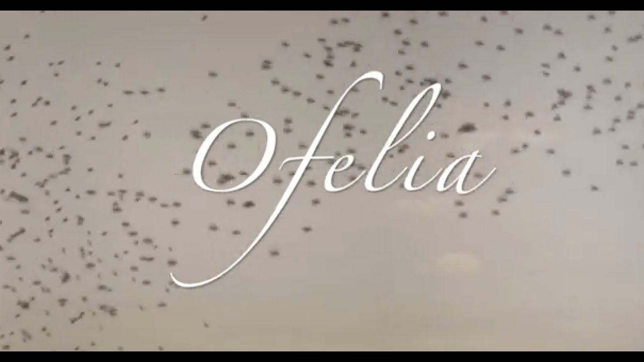 IL SEGNO DEL COMANDO - Ofelia - Lyric Video
