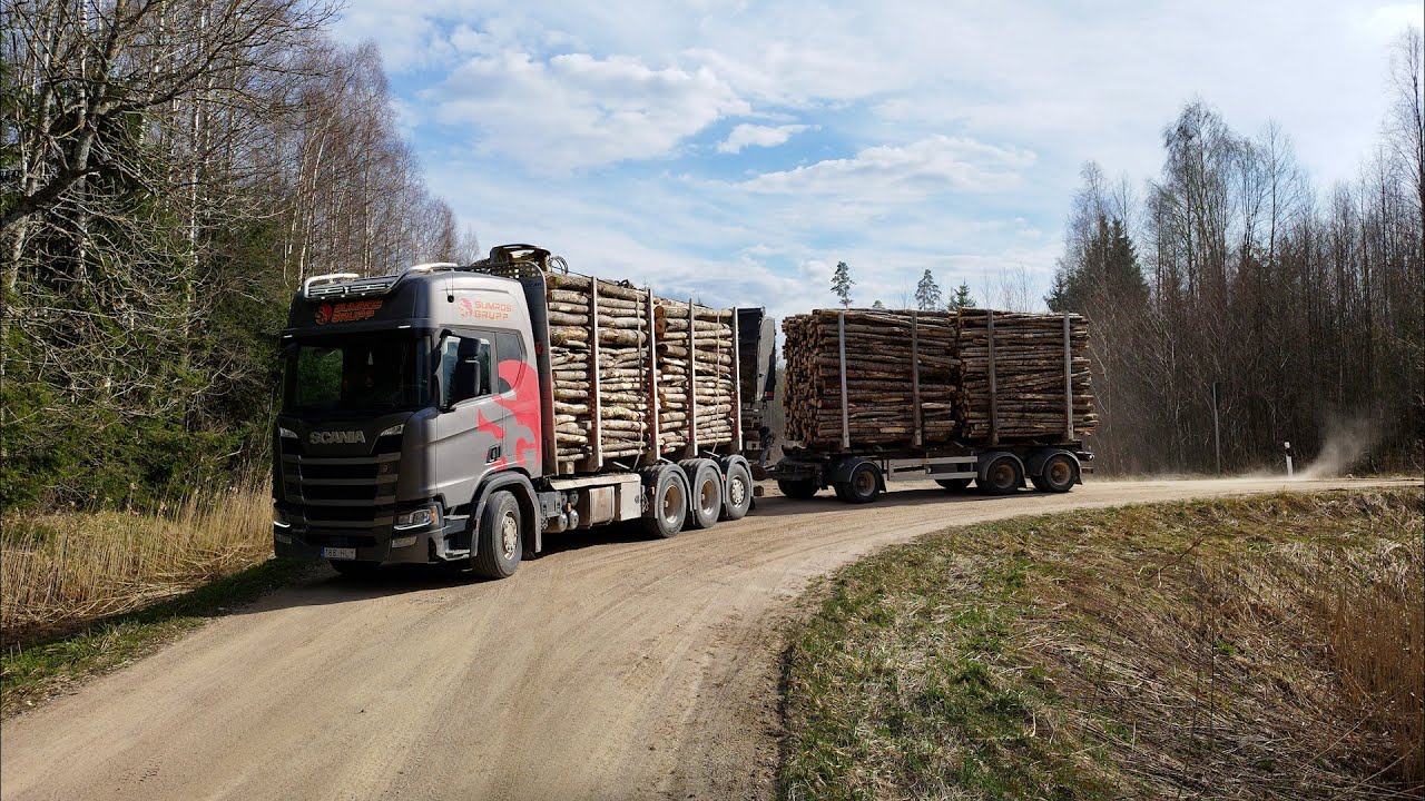 Loading aspen pulpwood. Loglift 96s, Scania R500 timbertruck.