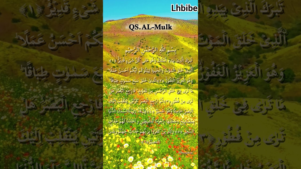 أرح قلبك #اكسبلور #القزابري #لايك #الظروف #تيك_توك #تصويري #duet #راحة_نفسية #تصميمي #nature #دويتو