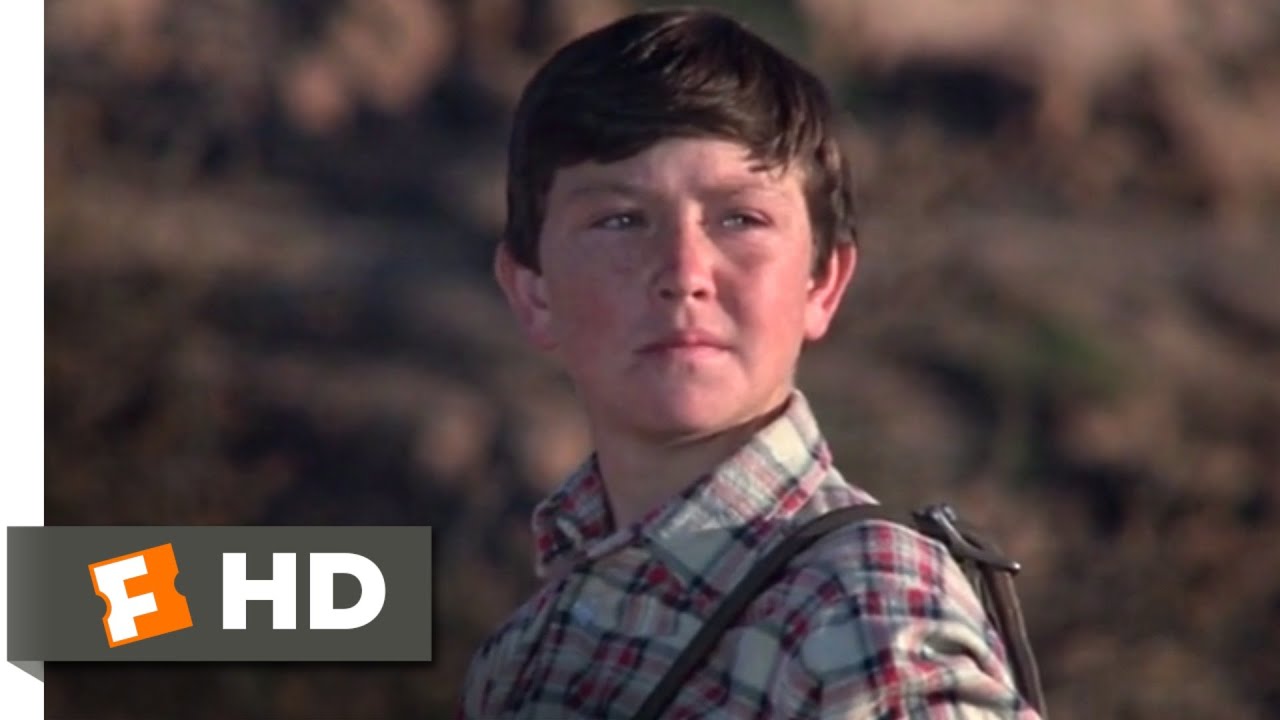 The Black Stallion Returns (1983) - He Belongs Here Scene (12/12) | Movieclips