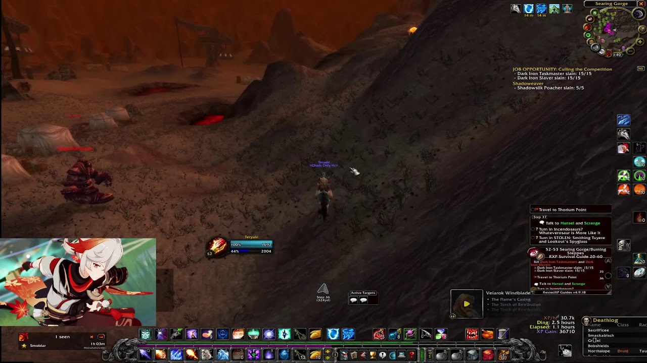 HC SF Mage Leveling