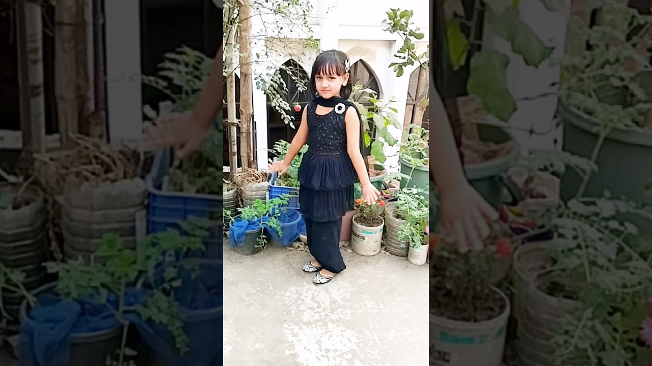 Sharara Sharara | Bollywood Dance | Dance Cover | Sangeet Dance |#dancecover #shorts #shararasharara