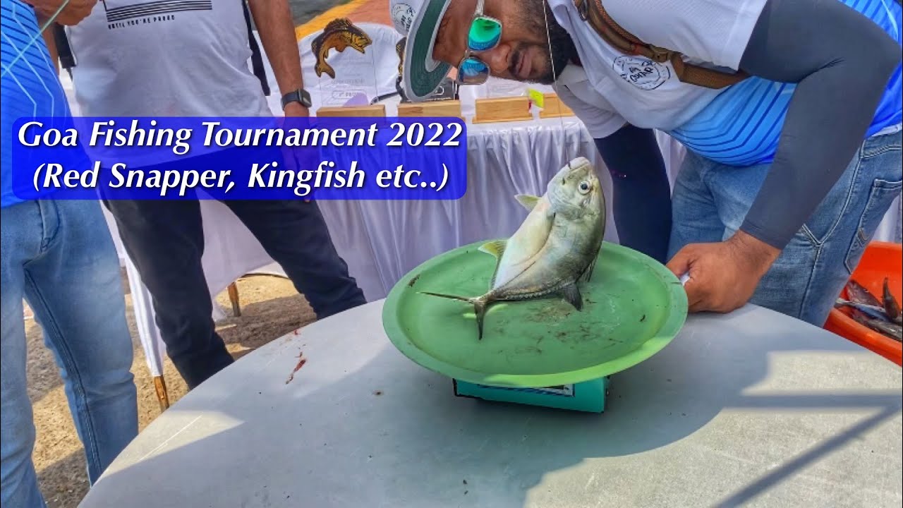 Good catch at Fishing Tournament in Goa 2022 🎣🐠|| Fishing Competition