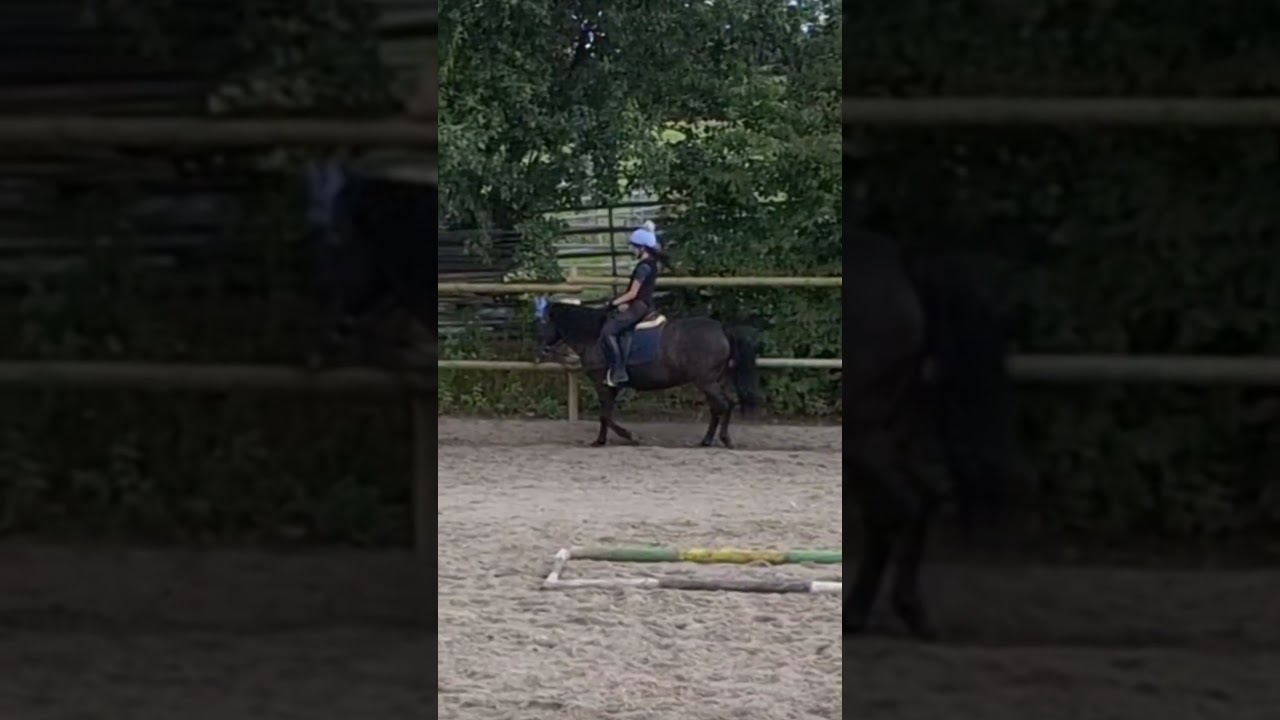 Ignore my leg and heels💀 