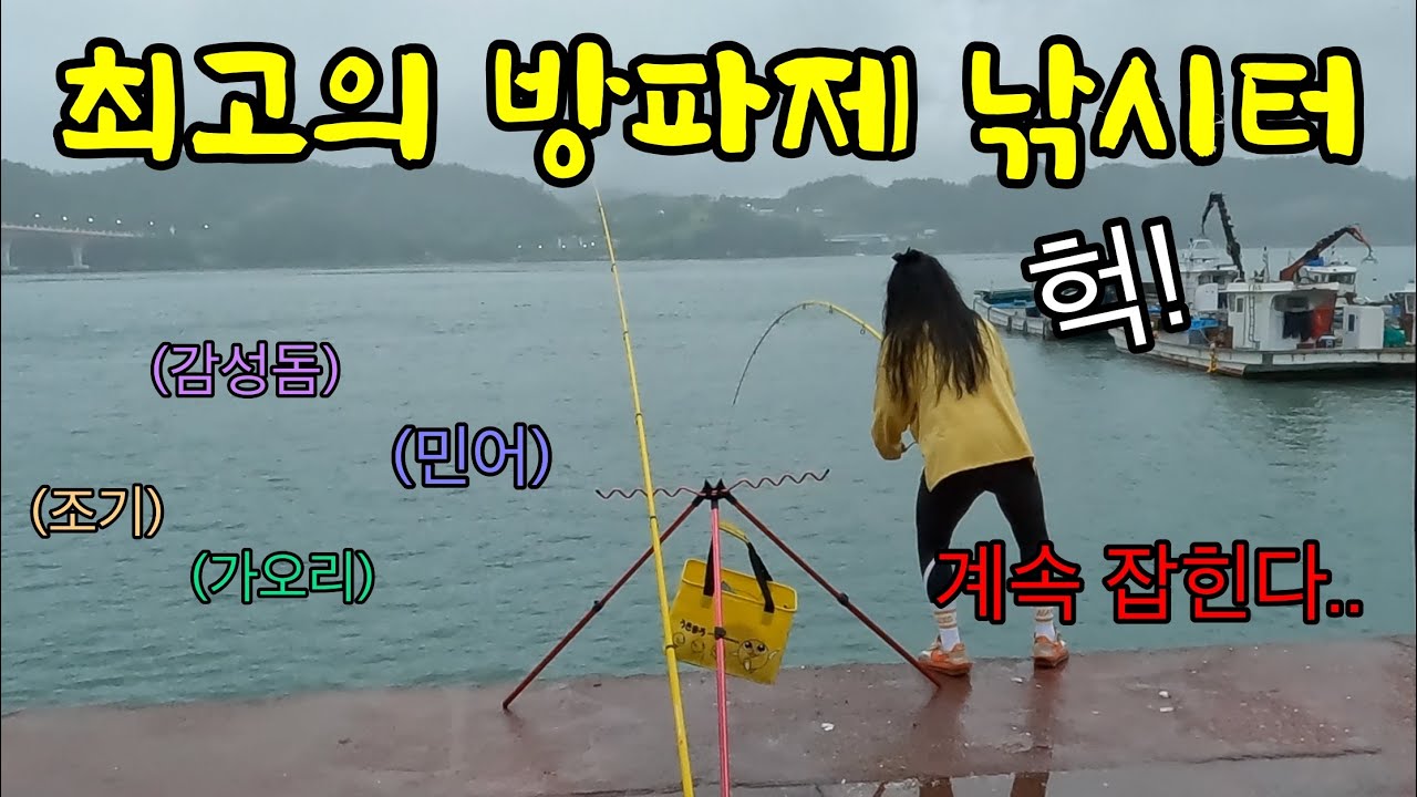 아무도 찾지 않는 이름 없는 방파제.. 난리 났네요! 감성돔에 민어에.. 바글바글합니다