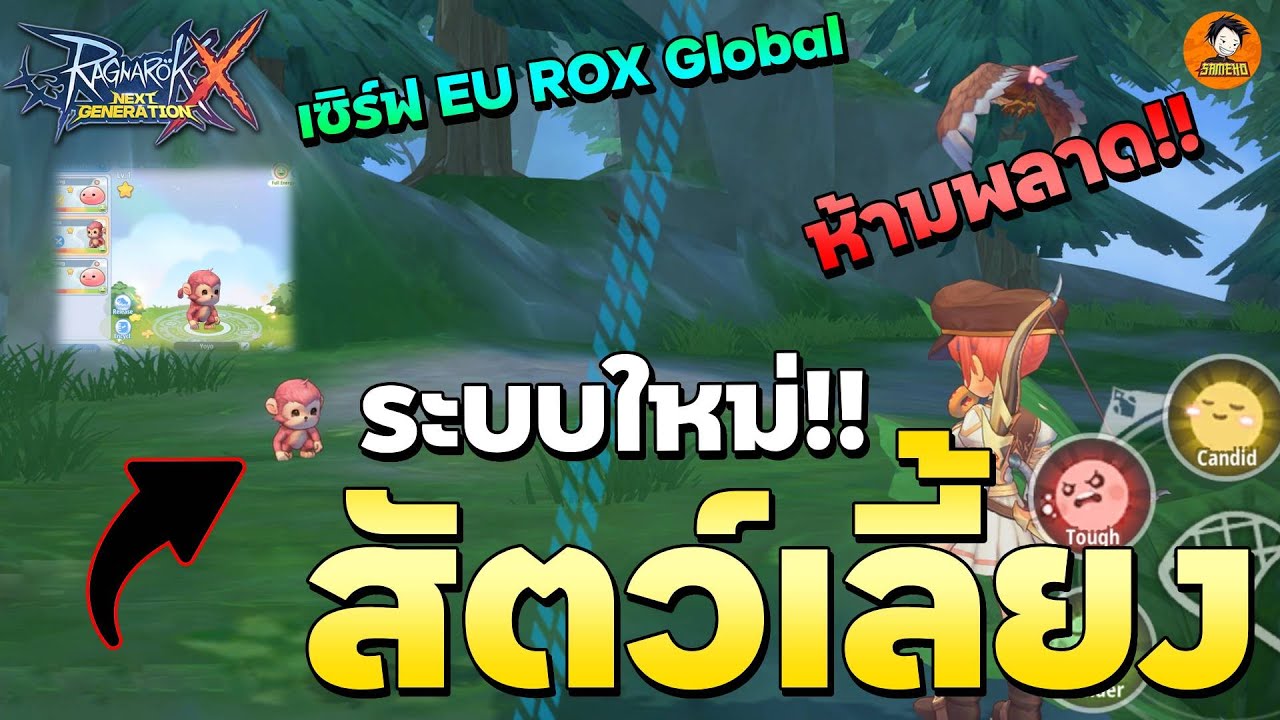 พาดูระบบสัตว์เลี้ยงใหม่ อาชีพไหน ใช้ตัวไหนดี? (เซิร์ฟEU) | ROX Global