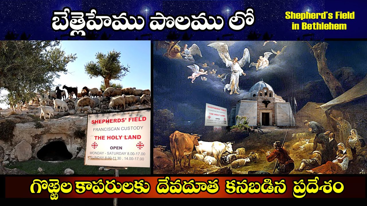 #బెత్లెహేములో గొర్రెలకాపరులకు దేవదూత కనబడిన ప్రదేశం  #Shepherds field in Bethlehem #Bro benhur Babu