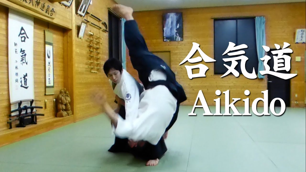 合気道‐技紹介　Aikido Techniques