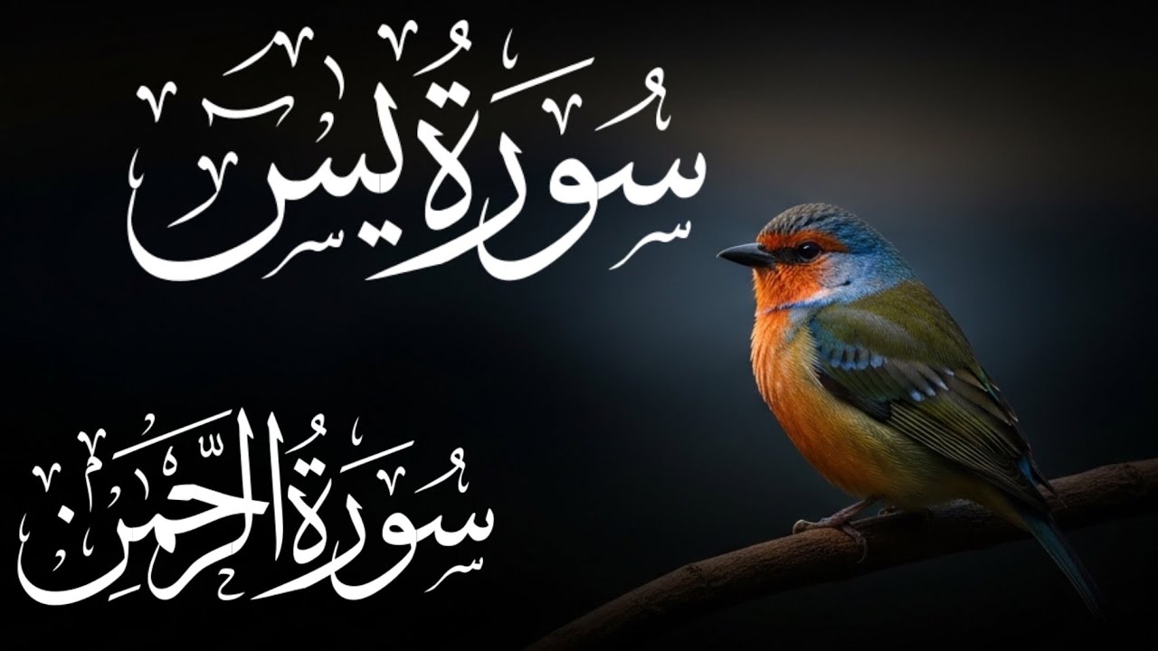 Surah Yasin & Ar-Rahman A Journey From Worry To Peace ( Beautiful Quran Recitation 