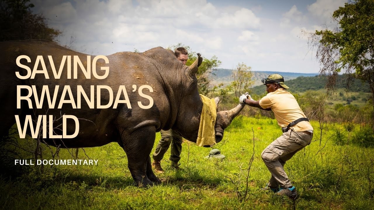 SAVING RWANDA'S WILD||RWCA10Years