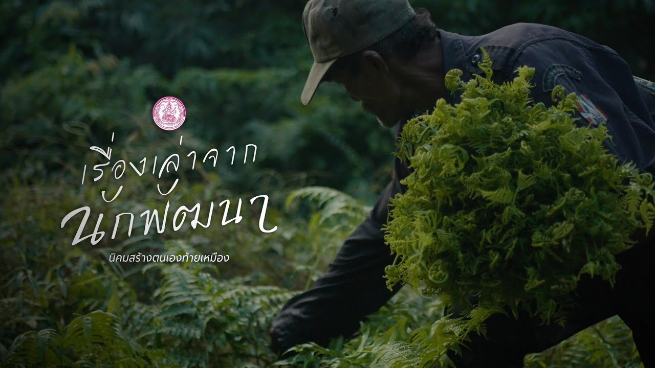 เรื่องเล่าจากนักพัฒนา นิคมท้ายเหมือง