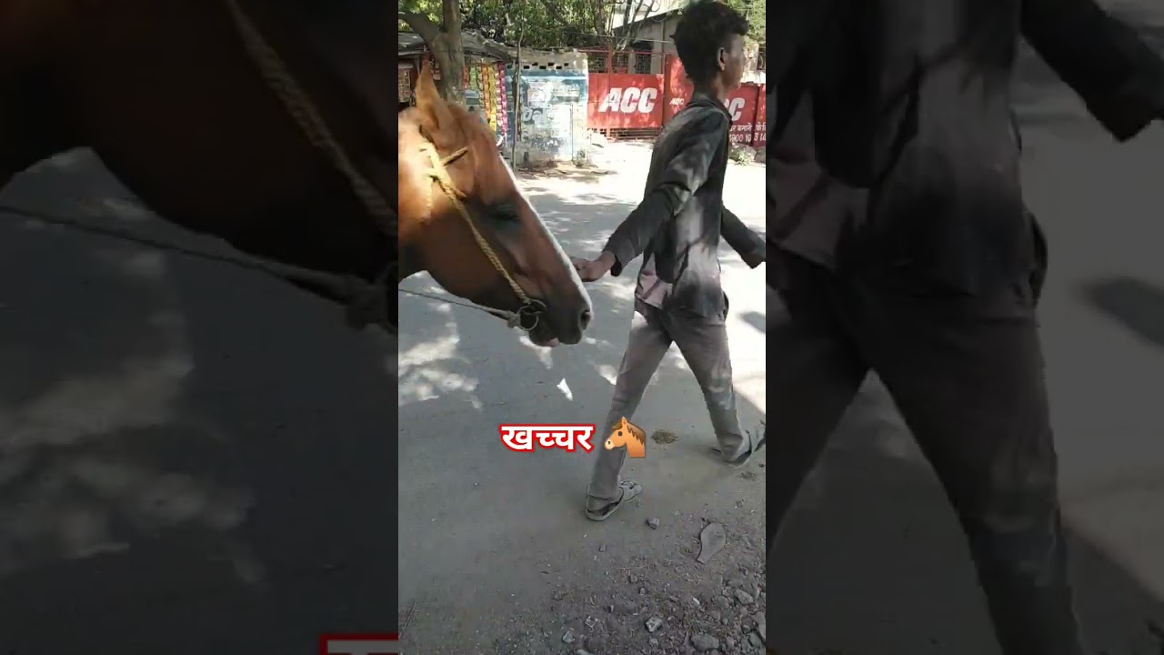 khachchar majduri karta hai#shortvideo#🐎🐴👳💪