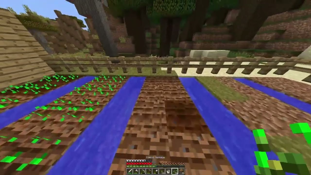 10 DAYS FOR 10 MINUTES IN MINECRAFT!I'VE FINISHED THE FARM!DAY 9!